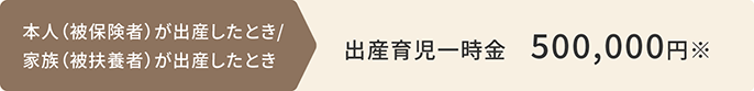 出産育児一時金 支給額